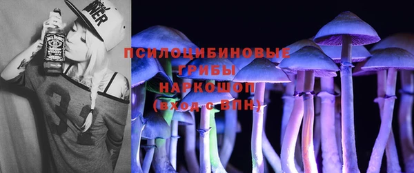 крисы Баксан