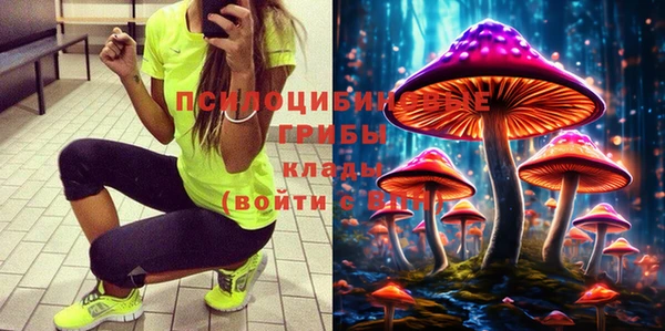 прущие грибы Аркадак