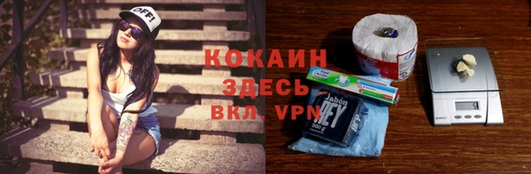 крисы Баксан